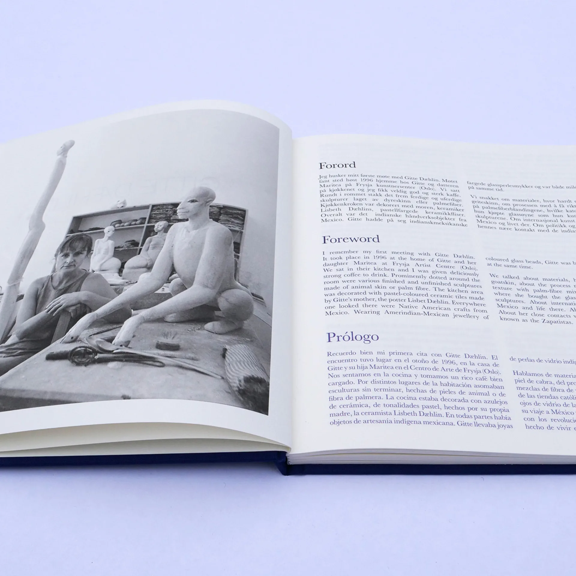 Hanne Grieg Hermansen Gitte Daehlin Tegninger Dibujos Drawings 2