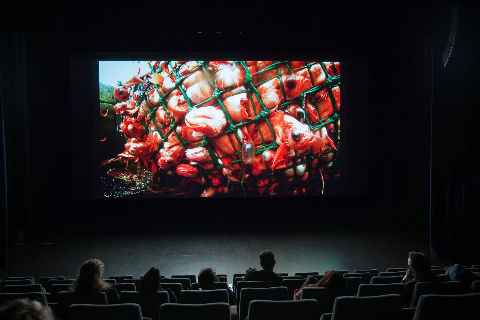 Screening of Leviathan by Lucien Castaing Taylor and Verena Paravel c OCA Herman Dreyer