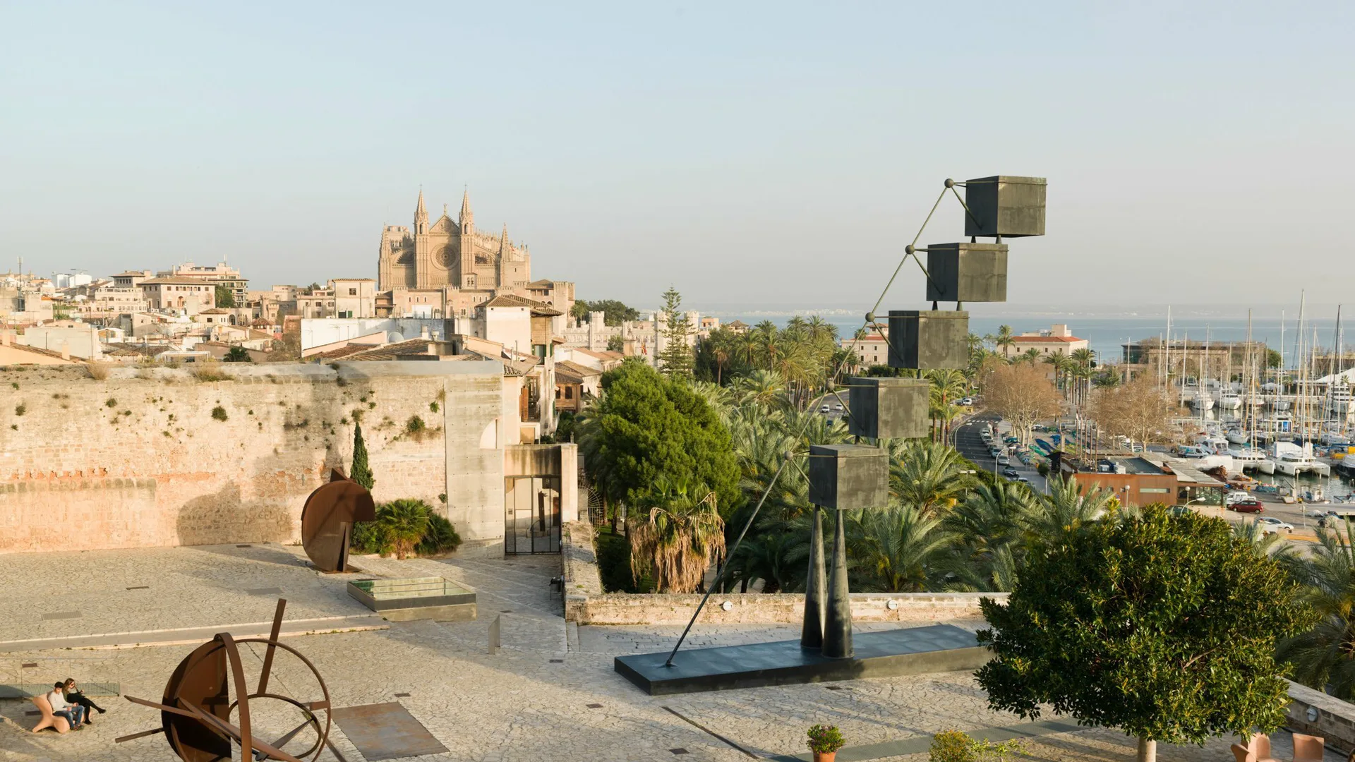 Panoramic Palma width 2480