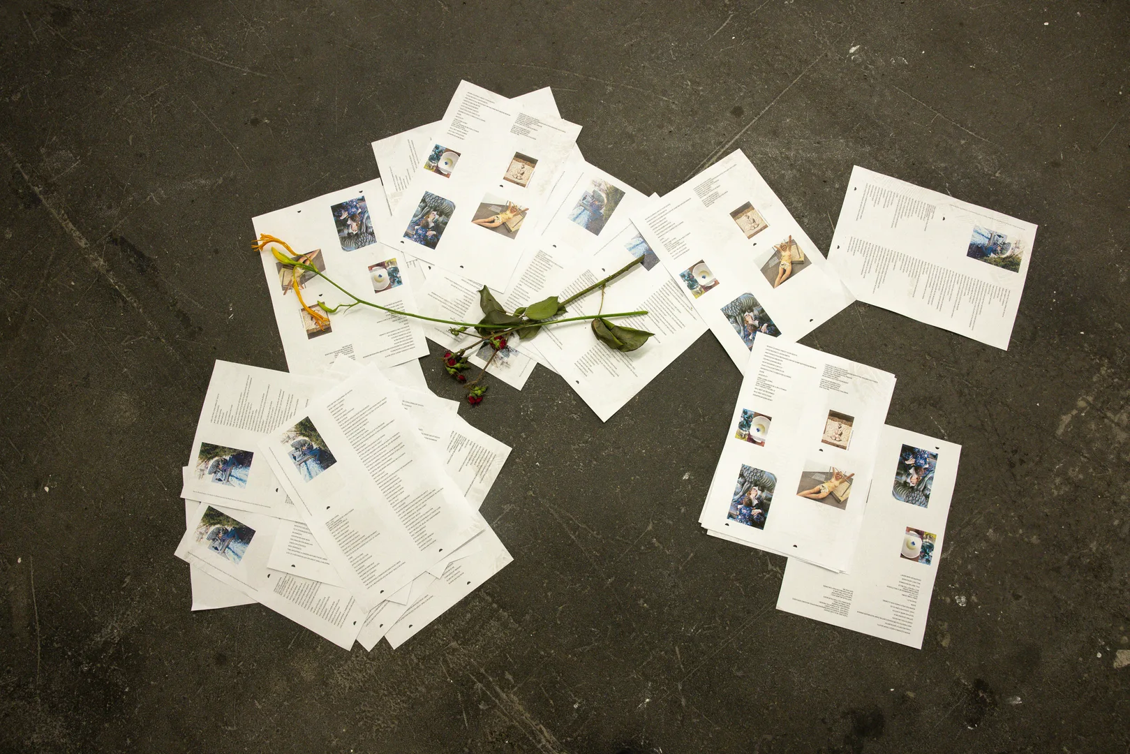 21 Liste Julie Hrncirova Marthe RF 0003