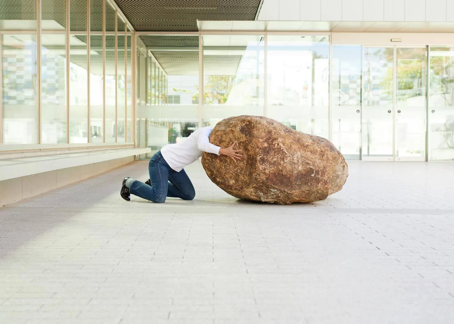 368681985 641657298151751 1601968245821874134 n