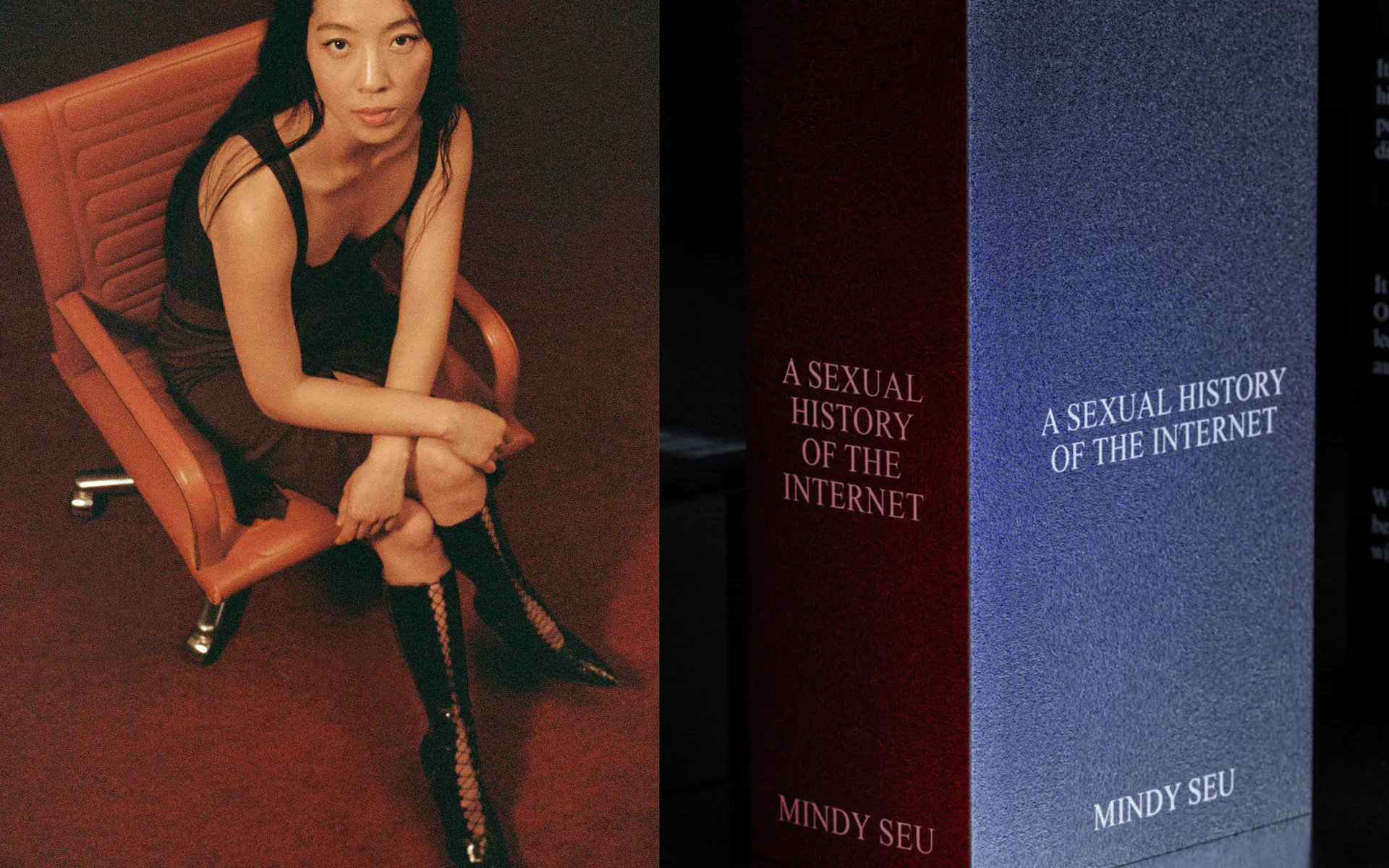 A Sexual History of the Internet
