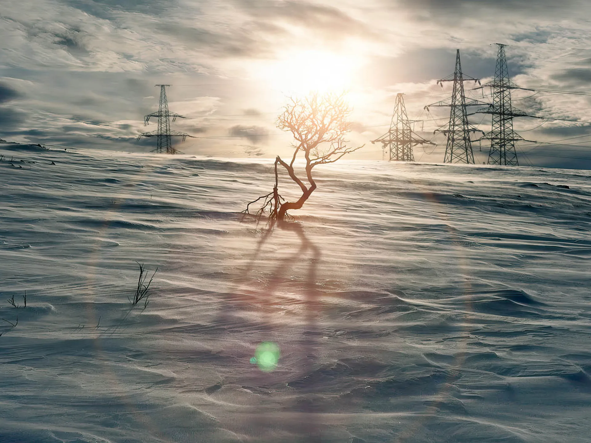 Muohtacalmmit Foto Hans Pieski